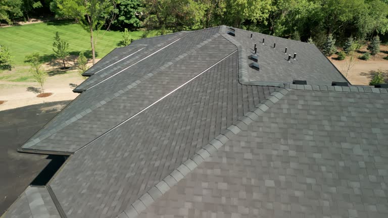 Best Roof Insulation Installation  in Rosemount, MN