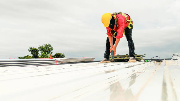Best Rubber Roofing (EPDM, TPO)  in Rosemount, MN