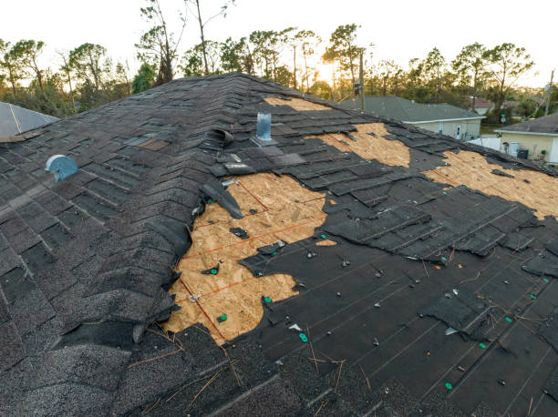 Best Rubber Roofing (EPDM, TPO)  in Rosemount, MN