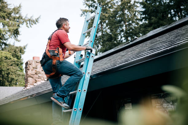 Best Steel Roofing  in Rosemount, MN