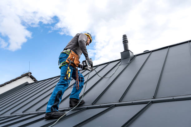 Best Sheet Metal Roofing  in Rosemount, MN