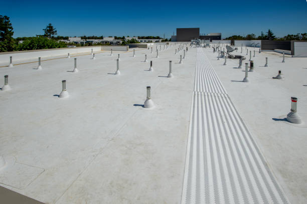 Best Roof Maintenance and Cleaning  in Rosemount, MN